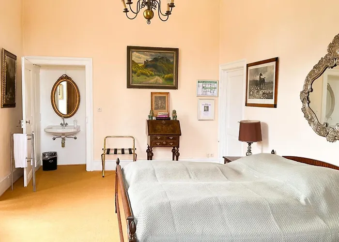 乡村民宿 Burg Satzvey 梅谢尼希